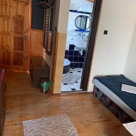 Alex Wielka Łomnica